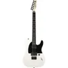 Fender 0134444780 Jim Root...