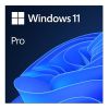 Microsoft Windows 11 Pro OS...