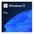 Microsoft Windows 11 Pro OS...