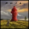 Signals [VINYL]