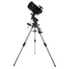 Celestron Advanced VX 8"...