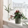 IKEA HASSELBUKETT plant pot,...