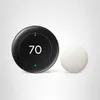 Google Nest Learning...