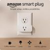 Amazon Smart Plug | Works...