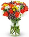 Benchmark Bouquets - Life is...