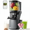 Cold Press Juicer