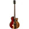 Luna Guitars Vista Bear 4...