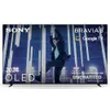 Sony BRAVIA 8 OLED 55 Pollici...