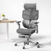 Hinomi X1 Ergonomic Office...