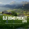 DJI Osmo Pocket 3 & 4 LUTs...