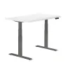 Vari® Electric Standing Desk...