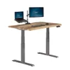 Vari Electric Standing Desk...