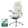 Hinomi H2 Pro Ergonomic...