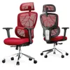 Ergonomic Office Chair