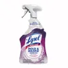 Lysol Mold & Mildew Remover...
