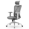 SIHOO M18 Ergonomic Office...