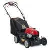 Troy-Bilt XP 163cc Engine...