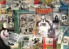 Ravensburger Disney...