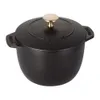 Cast Iron Petite French Oven,...