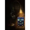 Dreadbox Darkness Stereo...