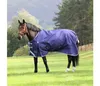 Shires Highlander Original...
