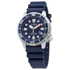 Citizen Promaster...