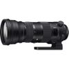 Sigma 150-600mm f/5.0-6.3...