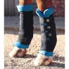 Premier Equine Magnetic horse...