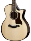 Taylor 814ce 800 Series...