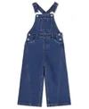 Levi's Big Girls Oversized...