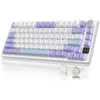 AJAZZ AK820 Pro 75% Wireless...