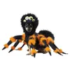 California Costumes - Spider...
