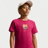 FC Barcelona Big Kids' Nike...