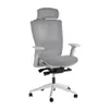 Autonomous - ErgoChair Pro...