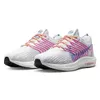 Nike Pegasus Turbo Next...