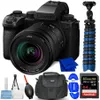Panasonic Lumix S5 IIX...