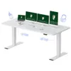 FLEXISPOT Standing Desk