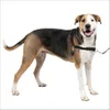 PetSafe Easy Walk Dog...
