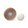 Google Nest Learning...