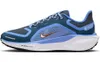 Nike Pegasus 41 Gore-Tex...