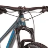 Santa Cruz Chameleon D...
