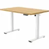 FlexiSpot Standing Desk E2 -...