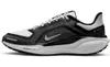 Nike Pegasus 41 Gore-Tex...