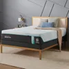 Tempur-Pedic ProBreeze 2.0...