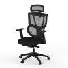 FlexiSpot C7 Ergonomic Chair...