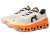 On Cloudmonster Women's Shoes...