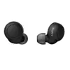 Ecouteurs intra-auriculaire...