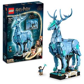 LEGO Harry Potter Expecto...