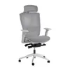 Autonomous ErgoChair Pro...