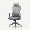 FlexiSpot C5 Ergonomic Office...